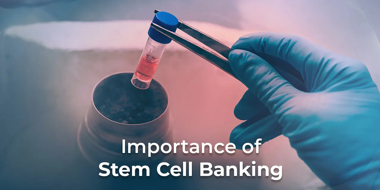 Stem Cell Banking
