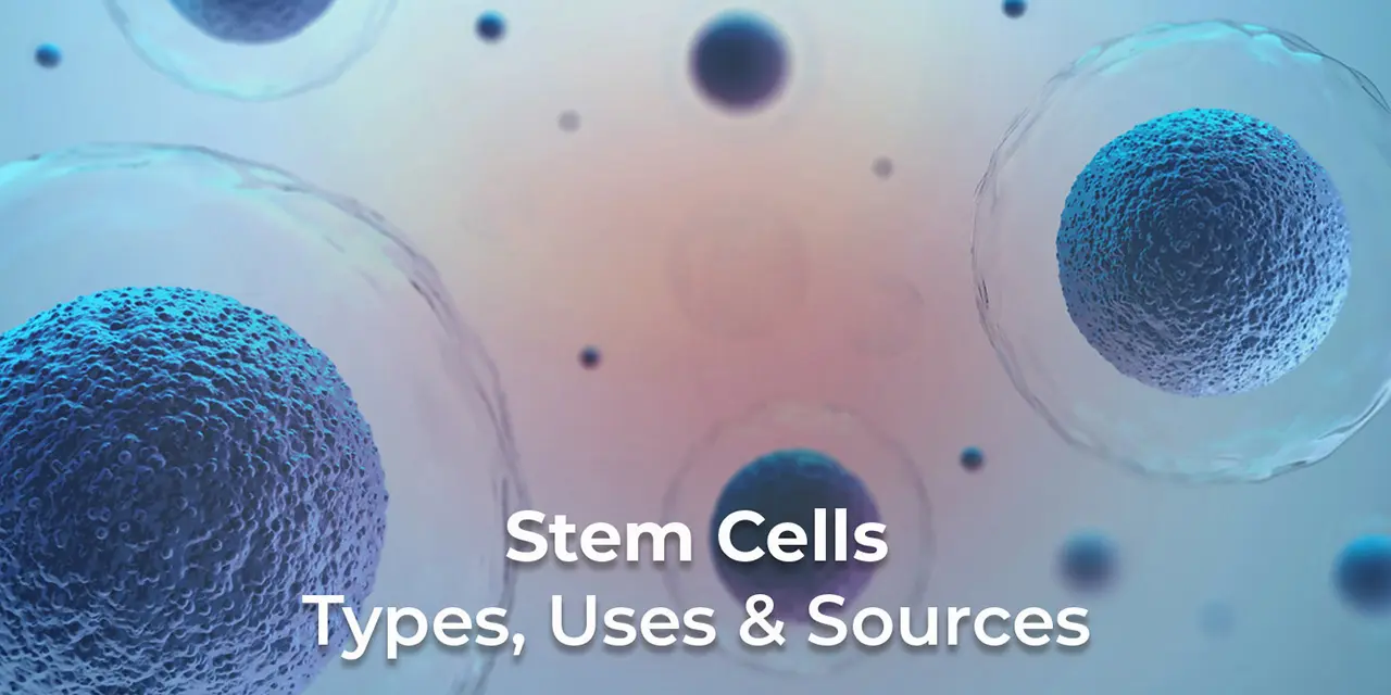 Stem Cell Blog